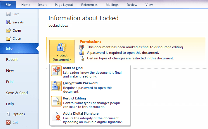 Word 2010 Doc Locks