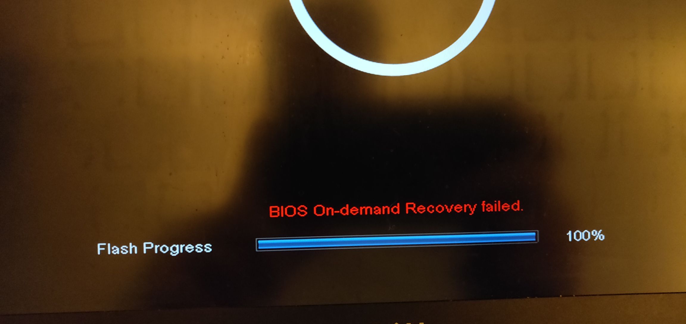 Update failed что делать. Dell BIOS update. Dell Inspiron 15 3565 биос рекавери. BIOS Recovery Screen. G7500 dell BIOS.
