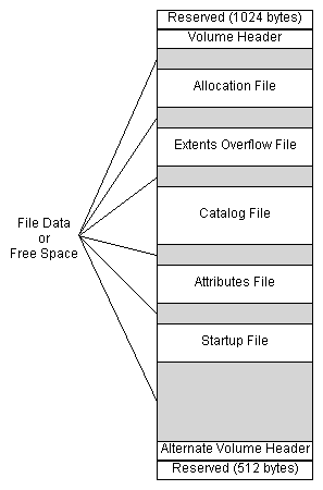 HFS+ MetaData