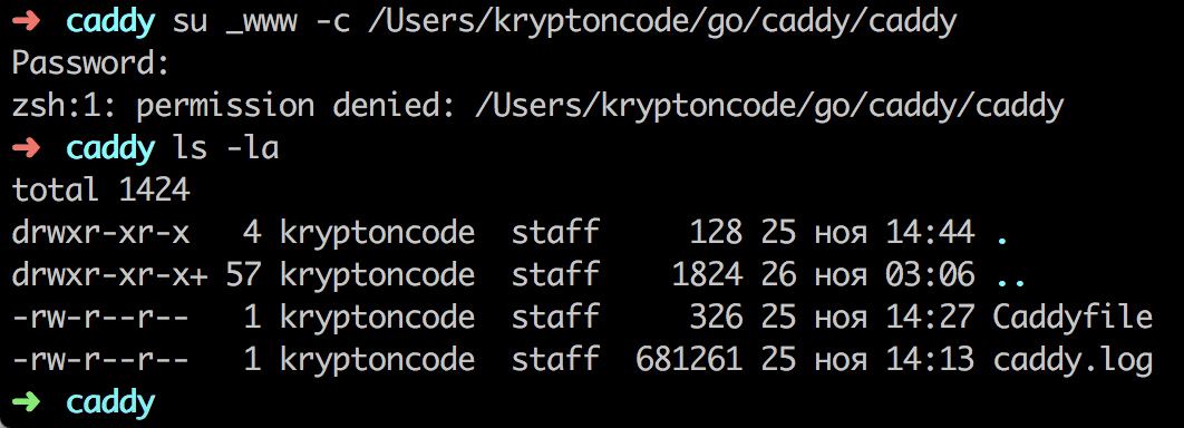 Usr local bin permission denied. Usr local bin permission denied