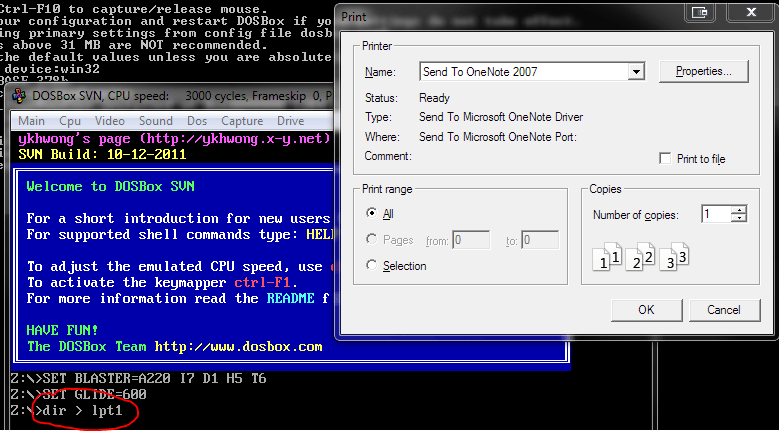 DOSBox Печать